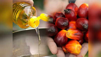 Palm Oil Ban: खाने का तेल ही नहीं पाम ऑयल की वजह से शैम्पू से चॉकलेट तक सब हो जाएंगे महंगे, जानिए कौन सी कंपनियां करती हैं इस्तेमाल