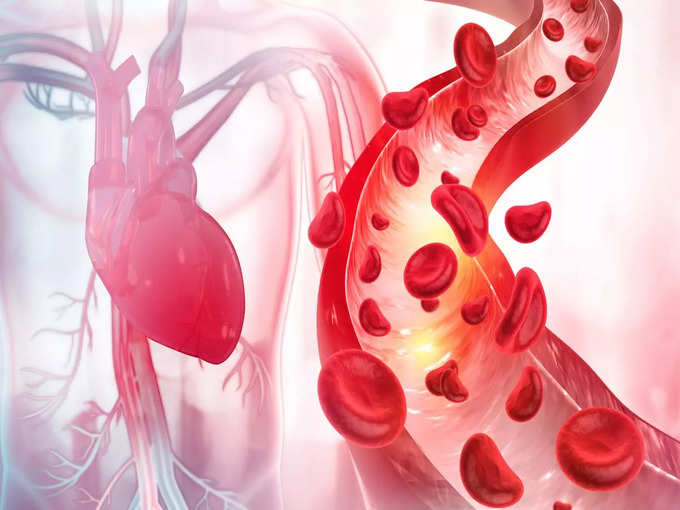 हृदय रोगों के जोखिम को कम करती है आम की गुठली