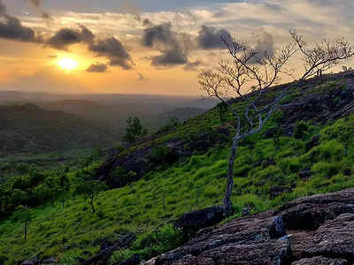 വെള്ളാണിക്കല്‍ പാറയില്‍ പോയാല്‍ തണ്ണിപ്പാറയും കാണാം പുലിച്ചാണി ഗുഹയിലും കയറാം