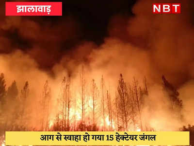 Jhalawar : किसान ने जलाई गेहूं की पराली, 15 हेक्टेयर जंगल ख़ाक
