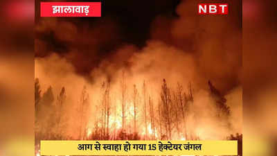 Jhalawar : किसान ने जलाई गेहूं की पराली, 15 हेक्टेयर जंगल ख़ाक