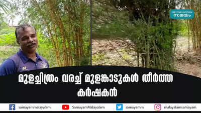 മുളച്ചിത്രം വരച്ച് മുളങ്കാടുകള്‍ തീര്‍ത്ത കര്‍ഷകന്‍