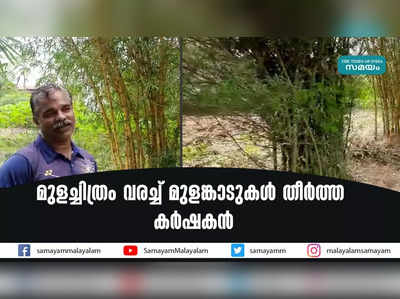 മുളച്ചിത്രം വരച്ച് മുളങ്കാടുകള്‍ തീര്‍ത്ത കര്‍ഷകന്‍