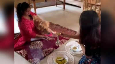Viral Video : ಸಾಂಪ್ರದಾಯಿಕ ಶೈಲಿಯಲ್ಲಿ ಮುದ್ದಿನ ಶ್ವಾನದ ಬರ್ತ್‌ಡೇ ಆಚರಣೆ : ಮಂದಹಾಸ ಮೂಡಿಸುತ್ತದೆ ಈ ಕ್ಷಣ