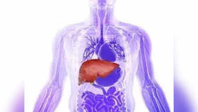 liver foods: கல்லீரலின் மெட்டபாலிசத்தை அதிகரித்து உடலில் கொழுப்பு தேங்காமல் தடுக்கும் 5 உணவுகள்