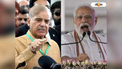 Shehbaz Sharif: মুহূর্তে রং বদল! মোদীর কাশ্মীর সফরের তীব্র সমালোচনায় পাক প্রধানমন্ত্রী