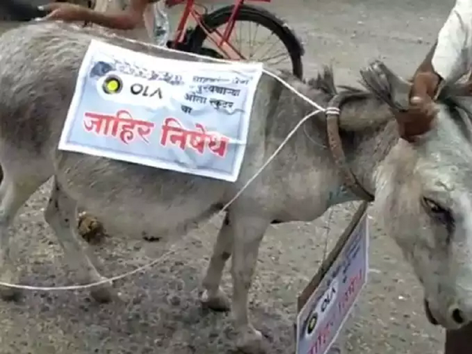 Man Ties Ola Scooter To Donkey 2