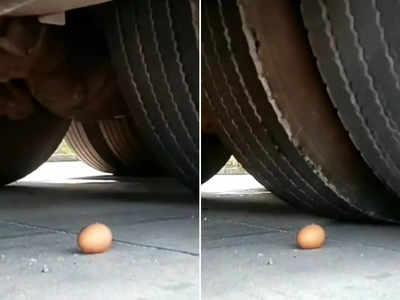 अंडे के ऊपर से निकाल दिए ट्रक के 16 पहिए, फिर भी वो नहीं टूटा, पता है क्यों?