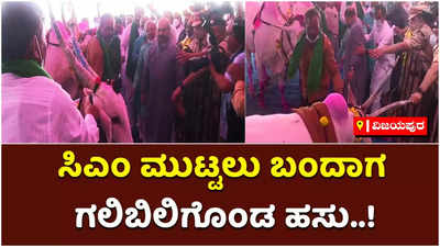 ಸಿಎಂ ಮುಟ್ಟಲು ಬಂದಾಗ ಗಲಿಬಲಿಗೊಂಡ ಹಸು: ಮುಂದಾಗಿದ್ದೇನು ನೋಡಿ!