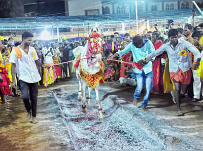 ஸ்ரீ பத்ரகாளியம்மன்  குண்டம் திருவிழா: சாமியை வணங்கியபடி குண்டத்தில் இறங்கிய குதிரைகள்!