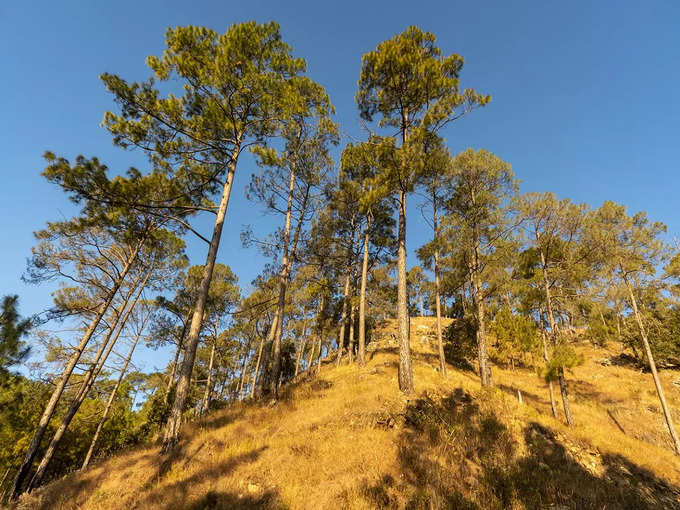 लवर्स पॉइंट, नैनीताल - Lovers Point in Nainital