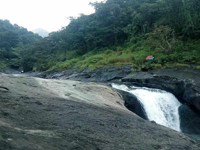 മലകളും വെള്ളച്ചാട്ടവുമെല്ലാം കണ്ടുവരാം; കക്കാടംപൊയിൽ ഒരു  മിനി ഗവി തന്നെ!