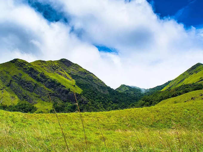 ಕೊಚ್ಚಿಯಿಂದ ವಯನಾಡ್‌