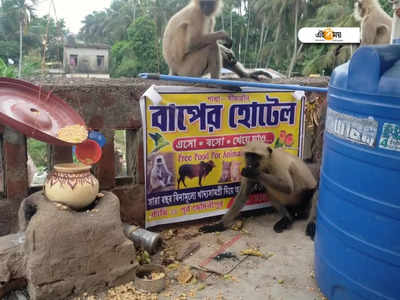 Marriage Anniversary: স্ত্রীকে অ্যানিভার্সারির উপহার বাপের হোটেল! কারা খেতে আসছে জানেন?