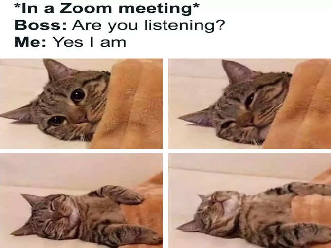 ऑनलाइन मीटिंग ही सही है!