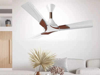 कूलर से भी तेज फर्राटेदार हवा देते हैं ये Ceiling Fan, चेक करें लेटेस्ट डेकोरेटिव मॉडल