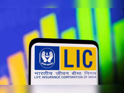 LIC IPO ಕ್ರೇಜ್‌: ಎಲ್‌ಐಸಿ ಪಾಲಿಸಿದಾರರು, ಚಿಲ್ಲರೆ ಹೂಡಿಕೆದಾರರು ಷೇರು ಖರೀದಿಸುವುದು ಹೇಗೆ?