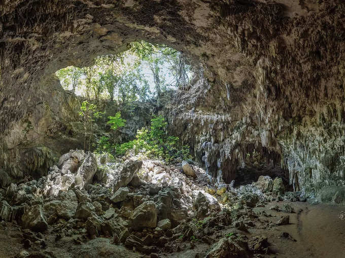 गुरू वशिष्ठ गुफा - Guru Vashishtha Cave in Rishikesh
