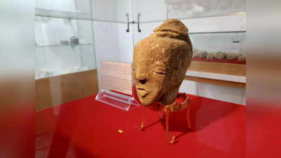 Palestine: किसान को खेत में मिला 4500 साल पुरानी रहस्यमय मूर्ति का सिर, सुंदरता की देवी को पूजते थे लोग