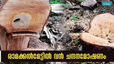 രാമക്കൽമേട്ടിൽ വൻ ചന്ദനമോഷണം