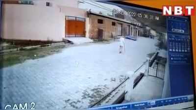 Hathras News: टहलने जा रहे वृद्ध को ट्रक ने कुचला, CCTV में कैद हुई दर्दनाक घटना, देखें वीडियो