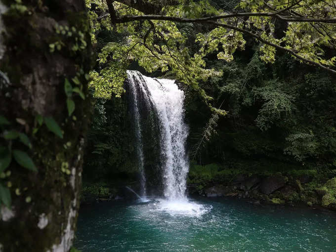 बीर बिलिंग में गुनेहर झरना - Gunehar Waterfall in Bir Billing