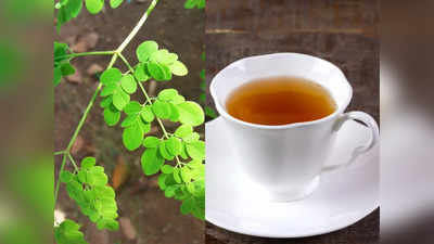 Drumstick Leaves Tea: आंगन में लगे इस पेड़ के पत्तों की चाय पिएं डायबिटीज के मरीज, तुरंत कम होगा Blood Sugar