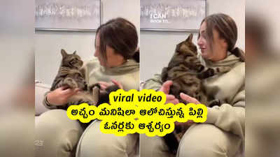 viral video: అచ్చం మనిషిలా ఆలోచిస్తున్న పిల్లి.. ఓనర్లకు ఆశ్చర్యం 