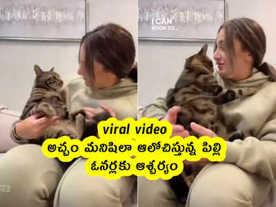 viral video: అచ్చం మనిషిలా ఆలోచిస్తున్న పిల్లి.. ఓనర్లకు ఆశ్చర్యం