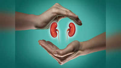 kidneys health: ఈ పుడ్ తింటే.. మీ కిడ్నీలు సేఫ్..!