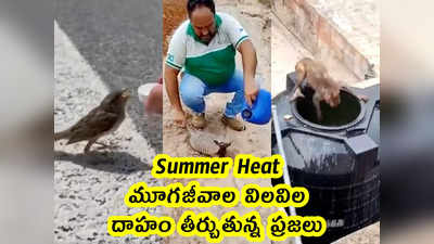 Summer Heat: మూగజీవాల విలవిల.. దాహం తీర్చుతున్న ప్రజలు 