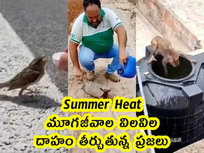 Summer Heat: మూగజీవాల విలవిల.. దాహం తీర్చుతున్న ప్రజలు