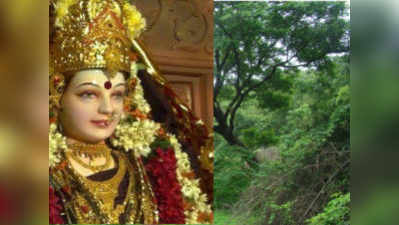 Gupt Navratra 2019: गुप्‍त नवरात्र शुरू, जानिए पूजाविधि और उपाय