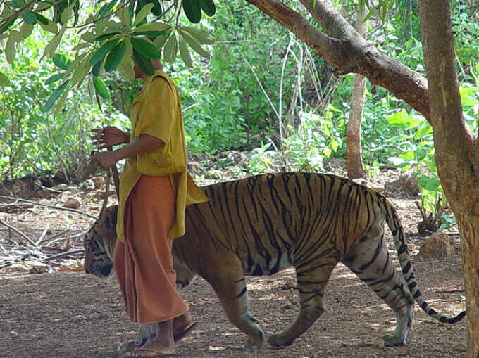 बैंकॉक के कंचनबरी का अनोखा मंदिर