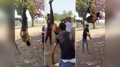 Bilaspur News :  फिल्मी स्टाइल में पकड़े, फिर पेड़ से उल्टा लटका दिए, बाप-बाप करता रहा... बारी-बारी से मारते रहे