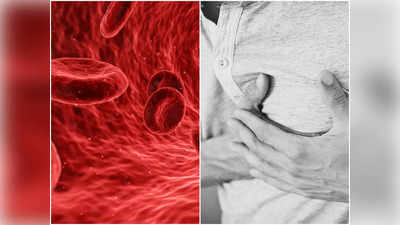 Cholesterol: বয়স ২৫ ছাড়ালেই কোলেস্টেরল বাড়ার আশঙ্কা! সতর্কতার বার্তা দিলেন চিকিৎসক