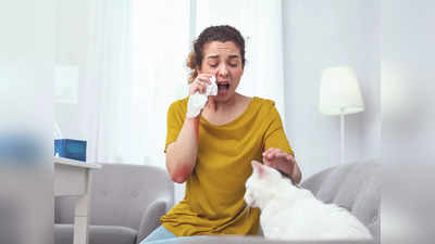 Pet Allergy: কুকুর, বিড়াল আদরের আগে সাবধান! অ্যালার্জি থেকে বড় বিপদের আশঙ্কা…