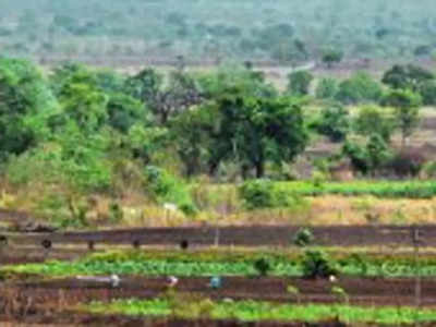 प्रकल्पग्रस्तांआडून विकासकांचा सरकारी जमिनीवर डोळा, लाभार्थ्यांकडून कवडीमोलाने जमिनी हडपण्याचे कारस्थान