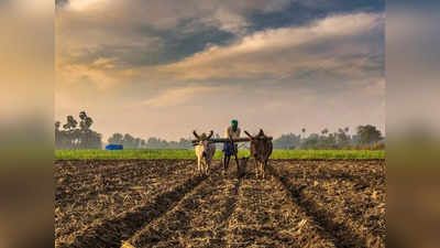 खते, बियाणांबाबत गैरप्रकार आढळल्यास कारवाई