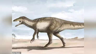 Megaraptor Dinosaur: आर्जेंटीना में मिला दुनिया का सबसे बड़ा रैप्‍टर डायनासोर, 33 फुट लंबा था खूंखार शिकारी