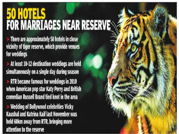 ranthambore  hotels