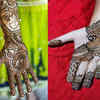 Latest Mehndi Designs by Jyoti Sachdeva. | Video Gallery -  www.Wedandbeyond.com