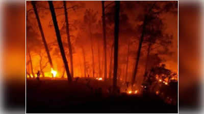 Uttarakhand Forest Fire: तेजी से बढ़ती जा रही उत्तरांखंड के जंगलों की आग, बांज के जंगलों को बचाना है चुनौती