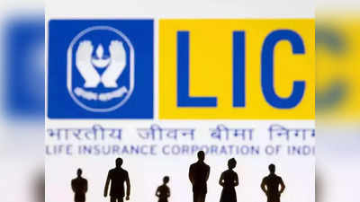 নতুন বিনিয়োগকারী হিসেবে LIC-র IPO কিনবেন? লক্ষ্য রাখুন এই বিষয়গুলিতে