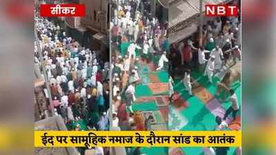 Viral Video: सीकर में ईद की सामूहिक नमाज के दौरान सांड का आतंक, वीडियो वायरल हुआ