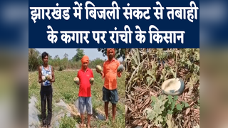 Ranchi News: झारखंड में बिजली संकट से तबाही के कगार पर रांची के किसान, पानी के अभाव में फसल बर्बाद