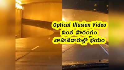 Optical Illusion Video: వింత సొరంగం.. వాహనదారుల్లో భయం