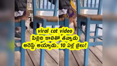 viral cat video: పిల్లిని కాలితో తన్నాడు.. అరెస్ట్ అయ్యాడు.. 10 ఏళ్ల జైలు!