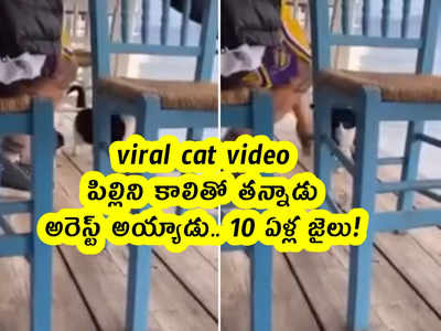 viral cat video: పిల్లిని కాలితో తన్నాడు.. అరెస్ట్ అయ్యాడు.. 10 ఏళ్ల జైలు!