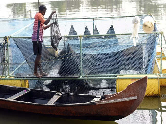 ​എന്താണ് കേജ് ഫിഷിങ്?